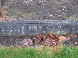 image of grave number 808103